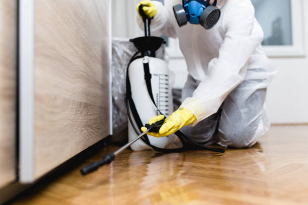 Best Pest Control Near Me  in Ama, LA