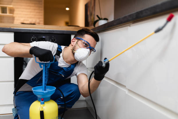 Reliable Ama, LA Pest Control Solutions