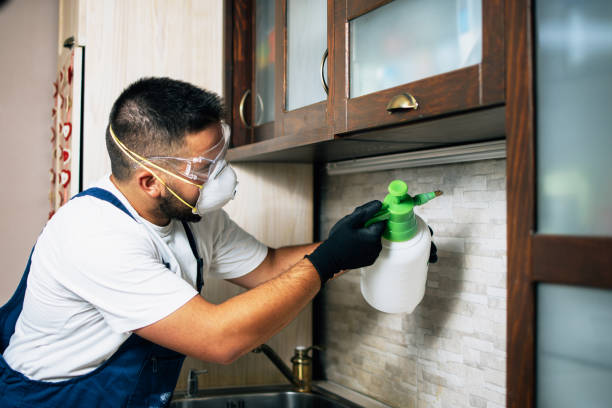 Best Flea Control Services  in Ama, LA