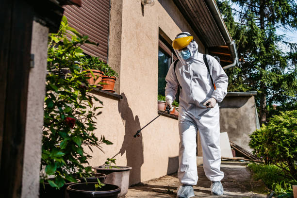 Best Mosquito Control Services  in Ama, LA
