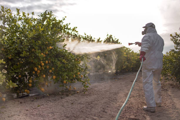 Best Wildlife Control Services  in Ama, LA