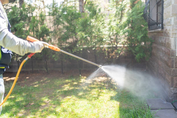 Best Best Pest Control Companies  in Ama, LA