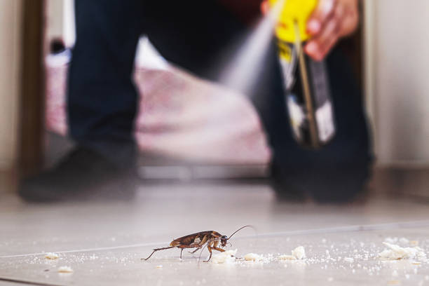Best Emergency Pest Control  in Ama, LA
